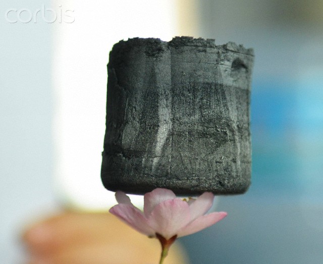 19 Mar 2013, Hangzhou, Zhejiang Province, China --- A carbon sponge lying on a cherry flower is pictured in the Polymer library of Zhejiang University in Hangzhou city, east Chinas Zhejiang province, 19 March 2013. A carbon sponge developed by a research group under Gao Chao, a professor for polymers from China Zhejiang University, has refreshed the record of the lightest solidity in the World - 0.16 mg/cubic centimeter. The new development has been introduced by the magazines Science (No.494) and Advanced Materials (on line, February 18). This kind of aerogel, even lighter than the helium, is made from grapheme, and can absorb oil 250 - 900 times of its own mass. --- Image by © Imaginechina/Corbis