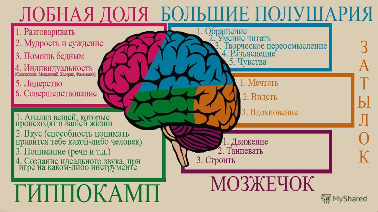 Протезы для памяти — Мир технологий